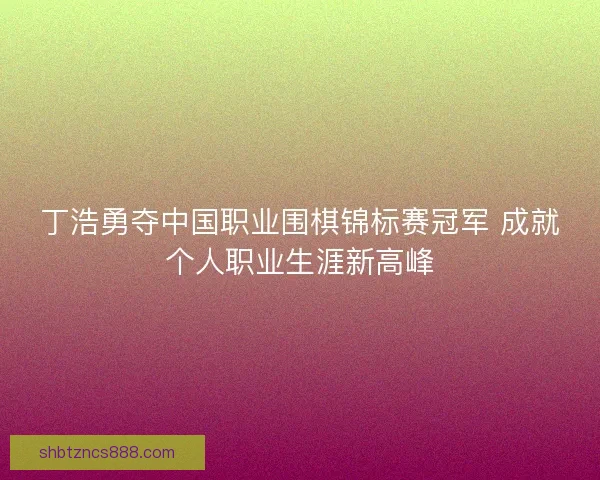 丁浩勇夺中国职业围棋锦标赛冠军 成就个人职业生涯新高峰