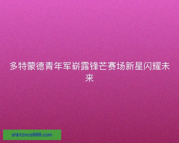 多特蒙德青年军崭露锋芒赛场新星闪耀未来
