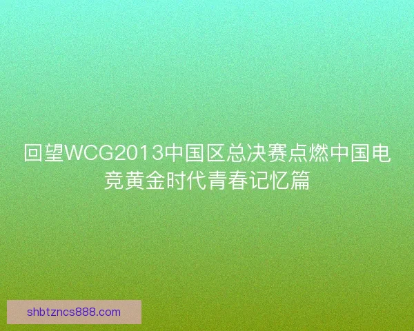 回望WCG2013中国区总决赛点燃中国电竞黄金时代青春记忆篇